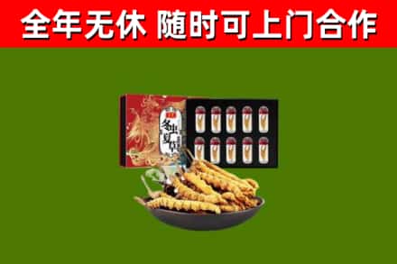 利辛回收冬虫夏草价格
